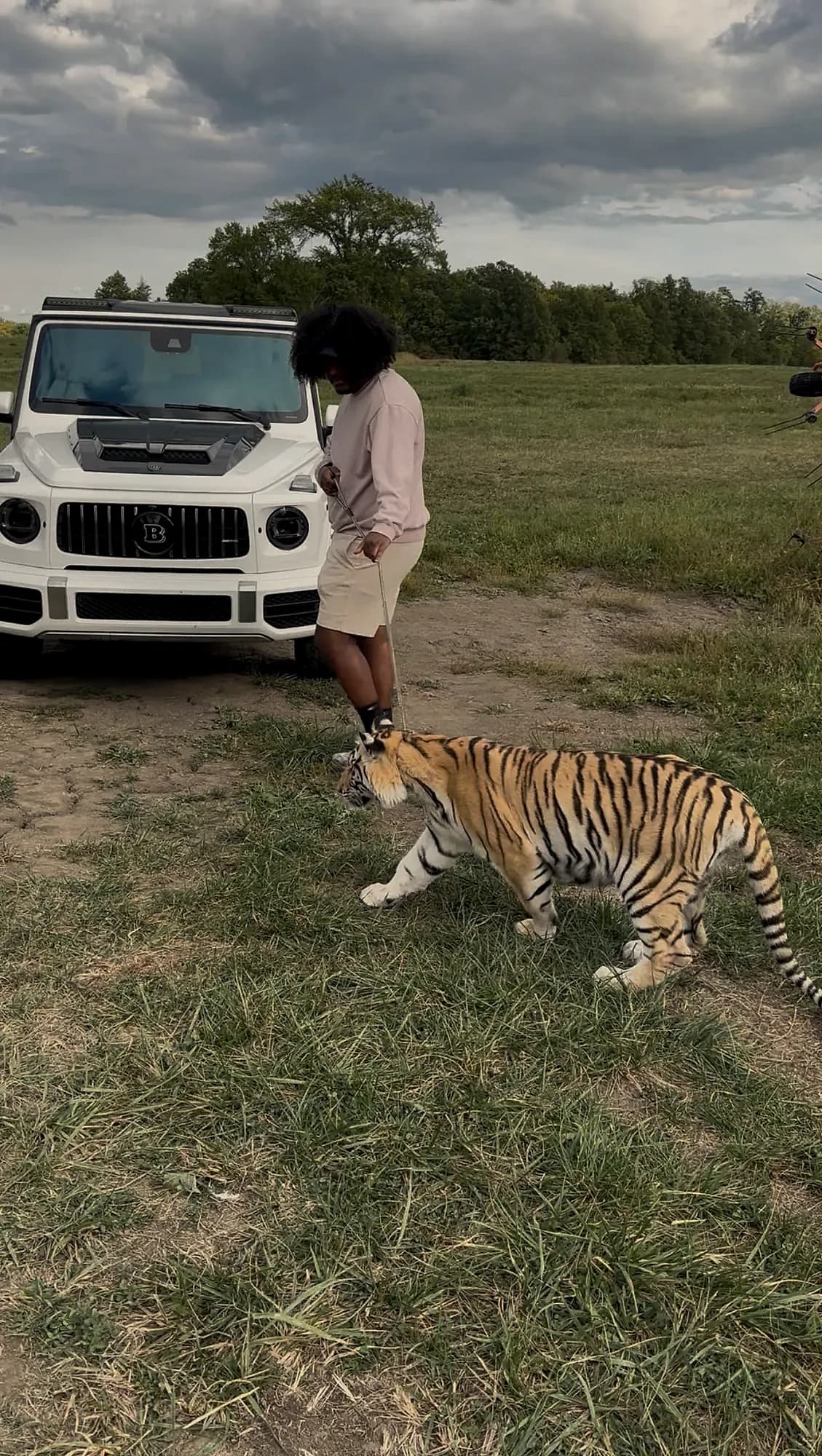 Negus in an open field beside a white G-Wagon, walking a full-grown tiger on a lead.